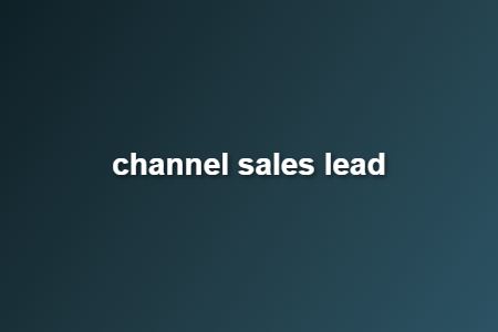 channel sales lead