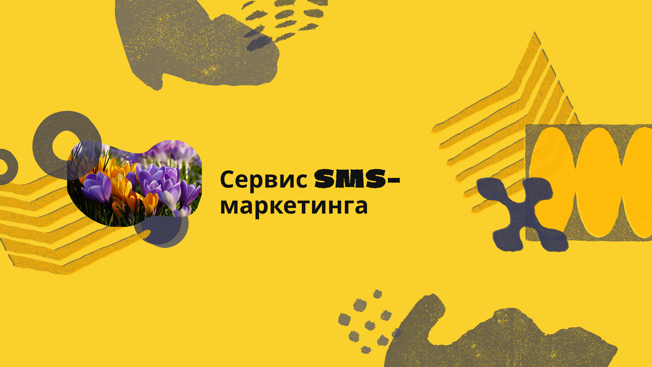 Сервис SMS-маркетинга